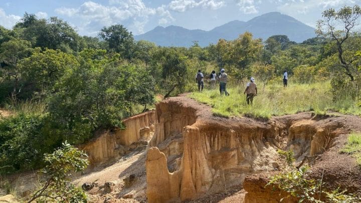 Le retour aux sources pousse de jeunes citadins à s'investir dans l'écotourisme