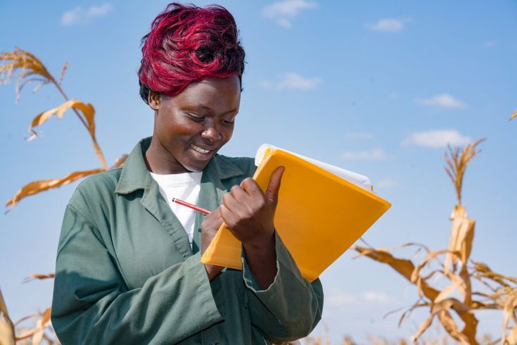 Les startups ivoiriennes spécialisées dans l'agritech déploient des solutions inédites pour les planteurs