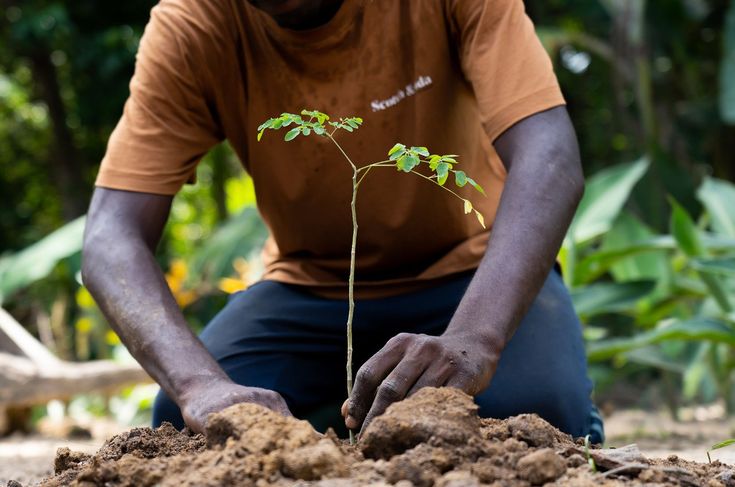 Comment les nouvelles législations climatiques redessinent le paysage industriel mondial
